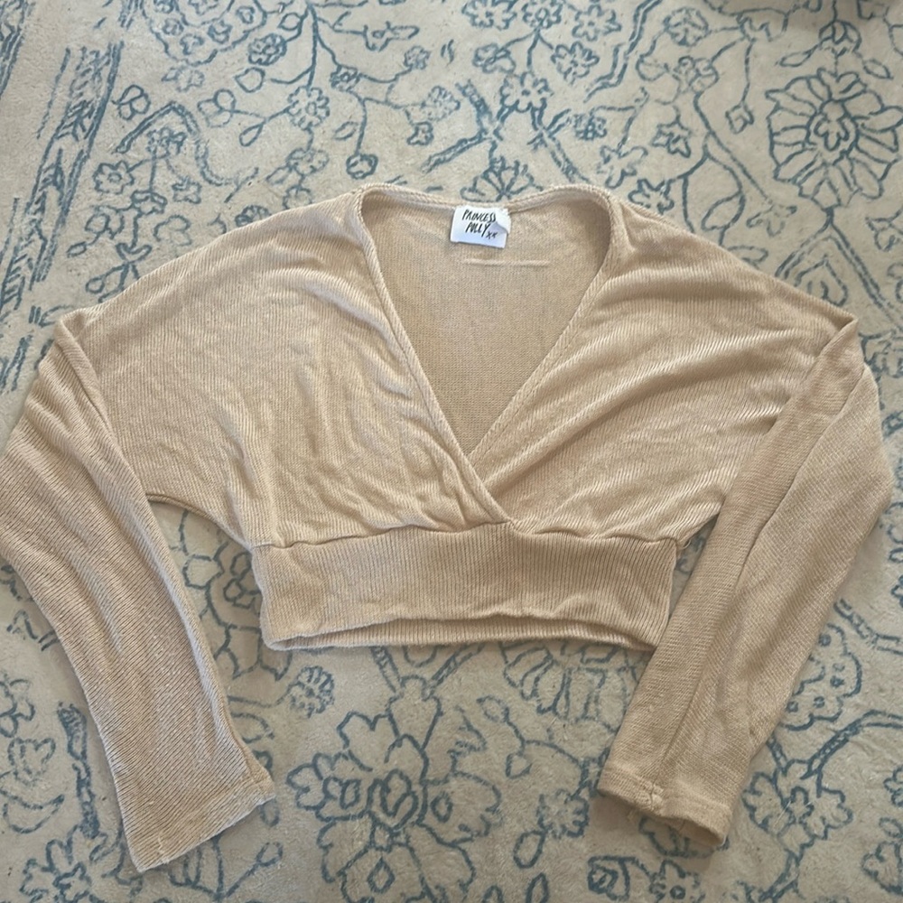 Princess Polly sheer long sleeve